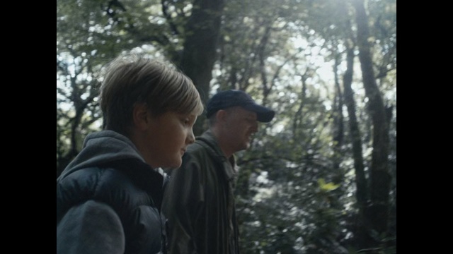 Video Reference: Photograph, Nature, Natural environment, Forest, Tree, Wilderness, Woodland, Snapshot, Photography, Human