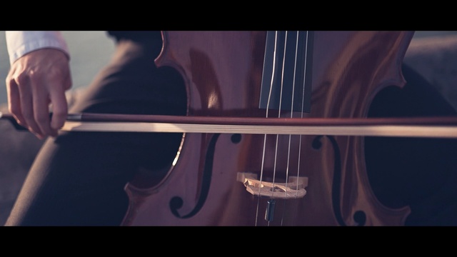 Video Reference: String instrument, String instrument, Musical instrument, Music, Violin family, Bowed string instrument, Violin, Cello, Double bass, Fiddle