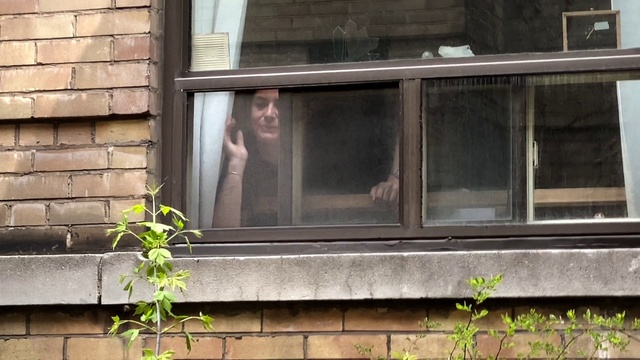 Video Reference: Window, Brickwork, Plant, Sash window, House, Facade