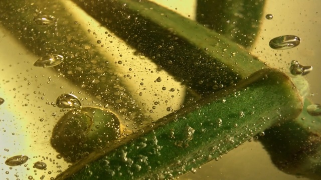 Video Reference: Water, Green, Moisture, Drop, Dew, Macro photography, Plant