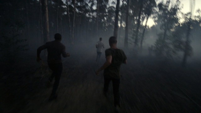 Video Reference: Atmospheric phenomenon, Mist, Natural environment, Sky, Darkness, Atmosphere, Forest, Morning, Water, Tree, Person