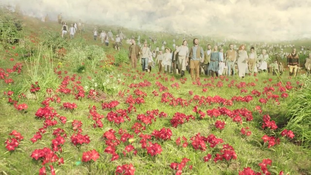 Video Reference: flower, vegetation, ecosystem, plant, wildflower, field, flora, flowering plant, grass, meadow