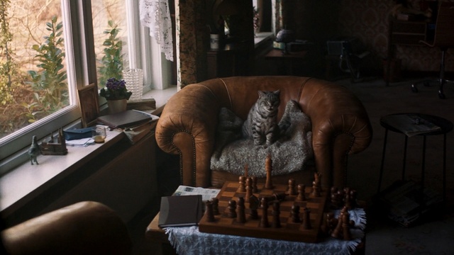 Video Reference: Room, Living room, Furniture, Interior design, House, Table, Chair, Couch, Person