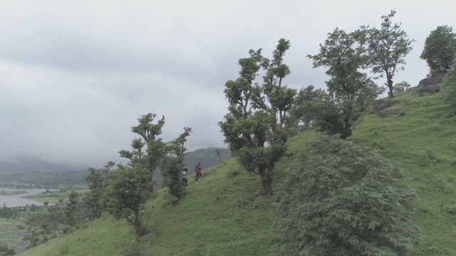 Video Reference: Hill station, Tree, Atmospheric phenomenon, Vegetation, Hill, Grass, Fog, Mist, Woody plant, Highland