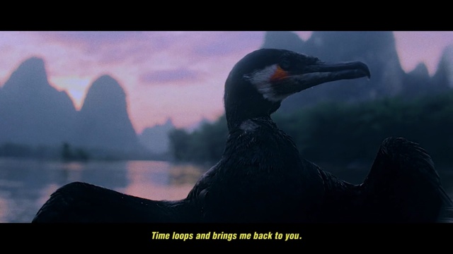Video Reference: sky, geological phenomenon, atmosphere, screenshot, darkness, beak, computer wallpaper