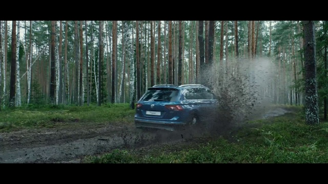 Video Reference: Land vehicle, Vehicle, Car, Nature, World rally championship, Rallying, Tree, Rallycross, Forest, Family car