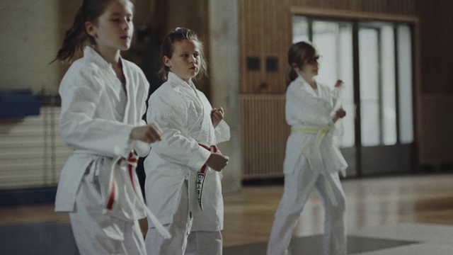 Video Reference: Karate, Martial arts uniform, Japanese martial arts, Martial arts, Dobok, Individual sports, Uniform, Taekwondo, Shidokan, Contact sport
