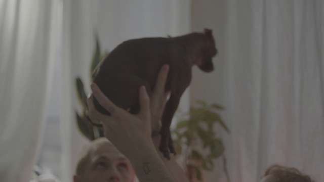 Video Reference: Tail, Person