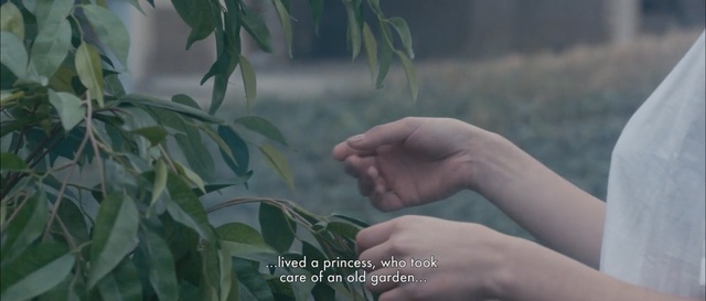 Video Reference: plant, hand, grass, tree, girl, branch