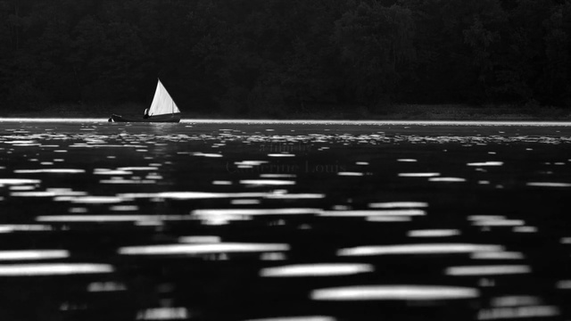 Video Reference: Water, Boat, Sailing, Black-and-white, Vehicle, Sail, Calm, Watercraft, Sea, Monochrome photography