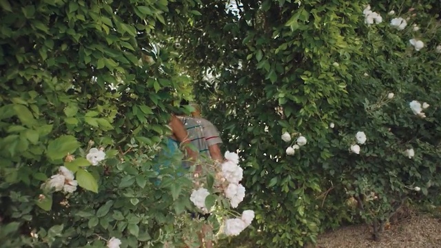 Video Reference: Plant, Flower, Leaf, Shrub, Botany, Tree, Ivy, Grass, Garden, Groundcover, Outdoor, Sitting, Bushes, Green, Standing, Bench, Holding, Red, Woman, Man, Table, White, Broccoli, Group, People, Vase
