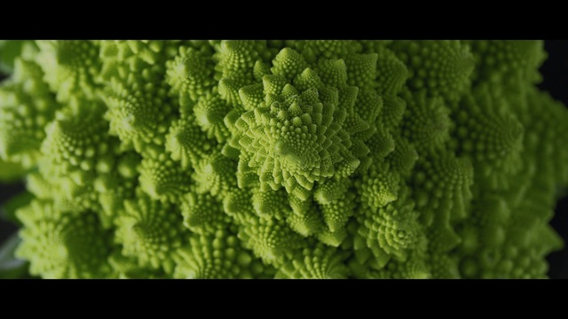 Video Reference: Green, Leaf, Plant, Leaf vegetable, Flower, Vascular plant, Broccoflower