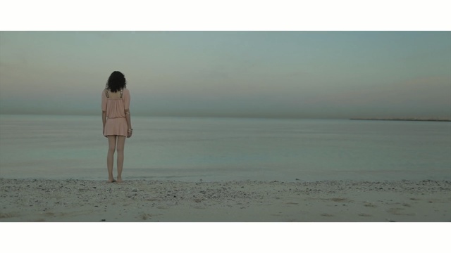 Video Reference: sea, horizon, shore, ocean, calm, beach, sky, vacation, standing, coastal and oceanic landforms, Person