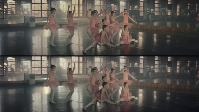 Video Reference: Ballet, Performing arts, Dance, Dancer, Reflection, Choreography, Performance art, Event, Ballet tutu, Performance