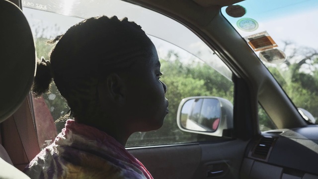 Video Reference: Mode of transport, Vehicle door, Windshield, Driving, Tree, Automotive window part, Vehicle, Rear-view mirror, Automotive mirror, Auto part