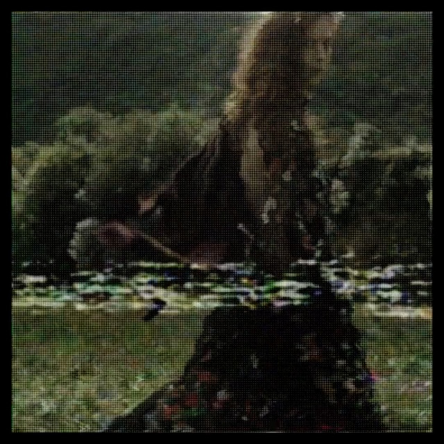 Video Reference: green, nature, black, fauna, mammal, wildlife, urban area, vertebrate, ecosystem, net