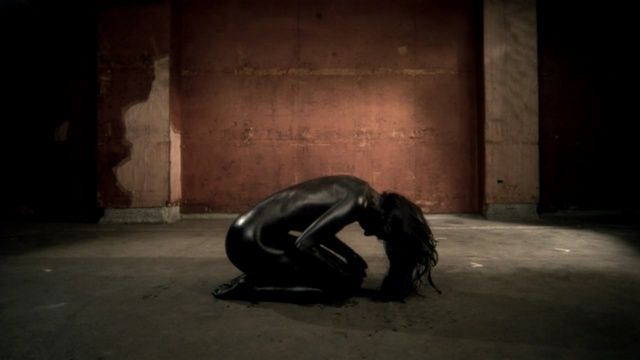 Video Reference: sea lion