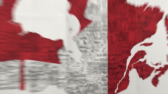 Video Reference: red, flag, modern art, art, paint, font