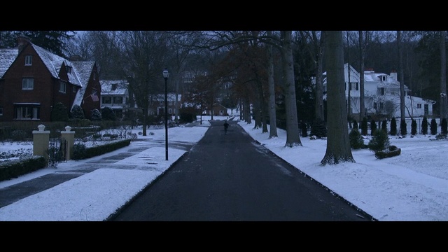 Video Reference: snow, winter, urban area, tree, freezing, road, town, sky, woody plant, street, Person