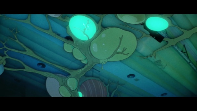 Video Reference: Blue, Aqua, Green, Water, Turquoise, Organism, Teal, Azure, Circle, Art
