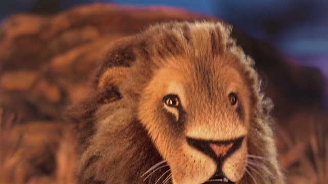 Video Reference: Vertebrate, Mammal, Wildlife, Terrestrial animal, Lion, Felidae, Big cats, Snout, Nose, Whiskers