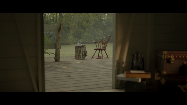 Video Reference: Photograph, Still life photography, Tree, Snapshot, House, Morning, Biome, Room, Wood, Sunlight