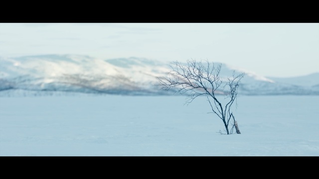 Video Reference: Sky, Nature, Atmospheric phenomenon, Natural landscape, Winter, Tree, Snow, Horizon, Branch, Atmosphere