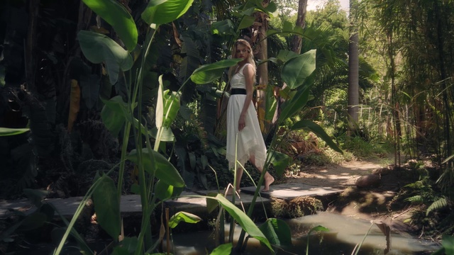 Video Reference: Jungle, Natural environment, Vegetation, Forest, Rainforest, Botany, Adaptation, Plant, Organism, Terrestrial plant