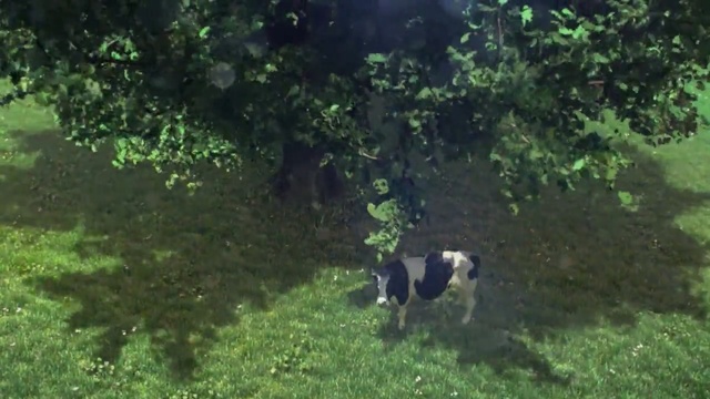 Video Reference: Nature, Green, Vegetation, Nature reserve, Natural environment, Pasture, Grass, Canidae, Biome, Meadow