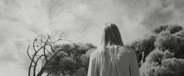Video Reference: sky, cloud, white, black and white, photograph, nature, black, monochrome photography, tree, woody plant