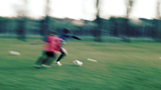Video Reference: Player, Football, Football player, Grass, Green, Soccer ball, Soccer, Sports equipment, Sports, Ball game