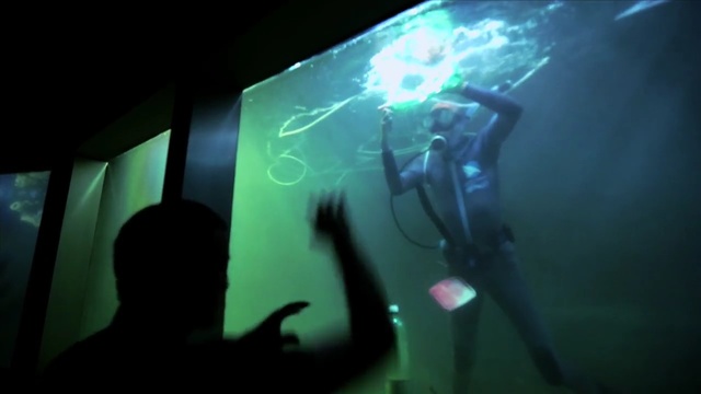Video Reference: Green, Organism, Underwater, Technology, Underwater diving, Marine biology, Performance, Art
