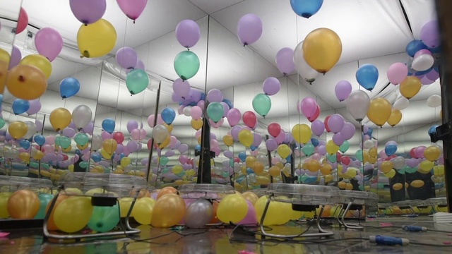 Video Reference: Balloon, Party supply, Party, Toy