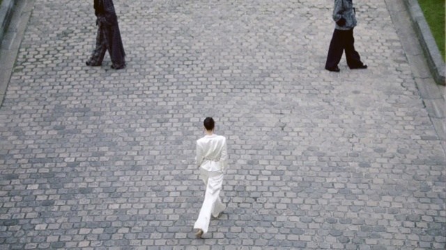 Video Reference: T"ai chi ch"uan, Walking, Pedestrian, Games