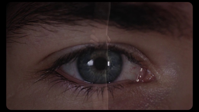 Video Reference: Eyebrow, Eye, Iris, Face, Skin, Eyelash, Close-up, Organ, Head, Brown, Indoor, Looking, Close, Eyes, Wearing, Glasses, Open, Dark, Mouth, Orange, Little, White, Young, Yellow, Large, Man, Holding, Red, Bear, Cat, Blue, Room, Cosmetics, Eye shadow, Mascara, Eyelash extensions, Lip, Jaw, Tooth, Lipstick