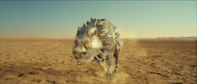 Video Reference: Desert, Landscape, Wildlife, Adaptation, Sahara, Soil, Aeolian landform