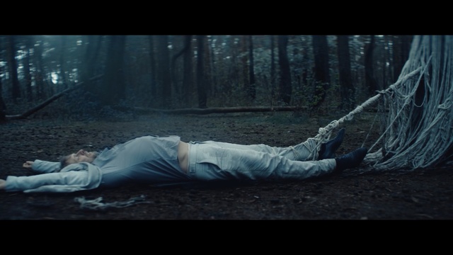 Video Reference: Natural environment, Forest, Tree, Darkness, Atmosphere, Woodland, Photography, Digital compositing, Fiction, Cg artwork