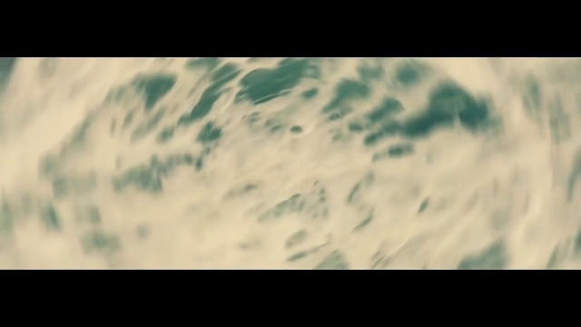 Video Reference: Green, Nature, Atmosphere, Font, Leaf, Geological phenomenon, Organism, Close-up, Sky, Water
