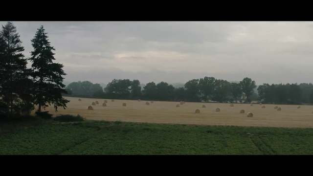 Video Reference: Nature, Sky, Atmospheric phenomenon, Pasture, Cloud, Tree, Natural environment, Grassland, Plain, Land lot