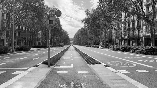Video Reference: White, Lane, Road, Black, Black-and-white, Street, Monochrome, Thoroughfare, Town, Tree