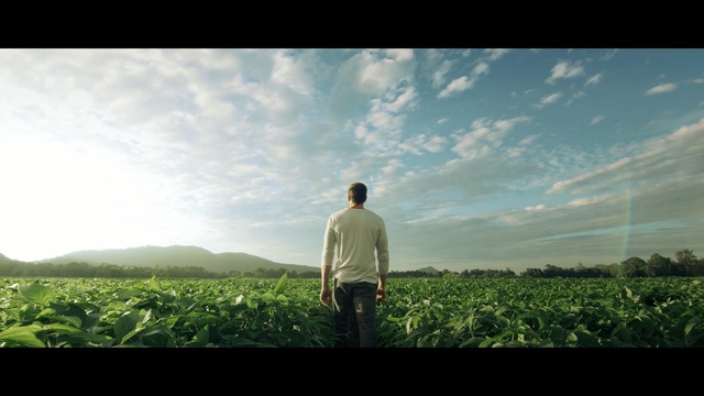 Video Reference: sky, green, cloud, field, grass, crop, tree, agriculture, grassland, horizon, Person