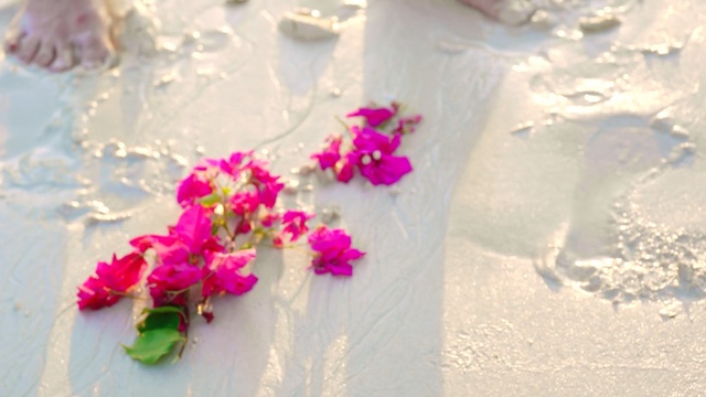 Video Reference: flower, pink, petal, magenta, flower arranging, floral design, rose family, floristry, cut flowers, rose