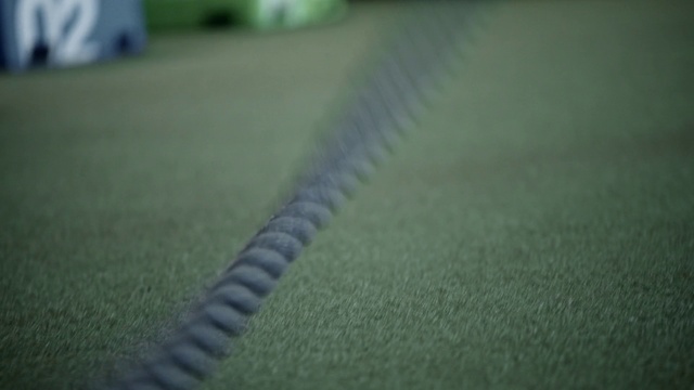 Video Reference: Green, Grass, Lawn, Leaf, Close-up, Macro photography, Line, Photography, Flooring, Artificial turf