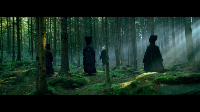 Video Reference: Nature, Forest, Natural environment, Green, Old-growth forest, Tree, Woodland, Biome, Temperate coniferous forest, Darkness, Person