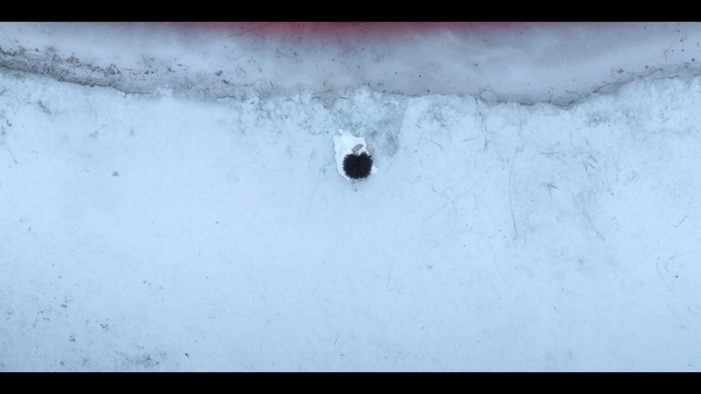 Video Reference: white, freezing, geological phenomenon, snow, black and white, atmosphere, sky, ice, winter, water