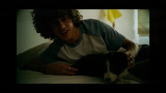 Video Reference: Nose, Human, Sitting, Arm, Fun, Mouth, Canidae, Adaptation, Jaw, Room