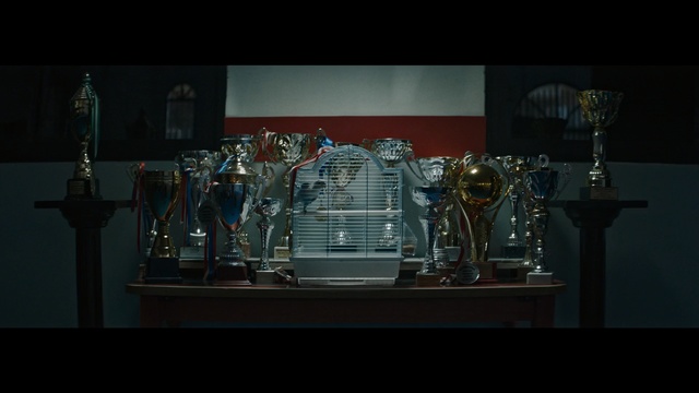 Video Reference: Trophy, Glass, Display case, Metal, Indoor, Table, Sitting, Small, Set, Man, Glasses, Wine, Vase, Woman, Room, Display, Standing, Clock, Holding, Counter, Lit, White, Wall, Musical instrument