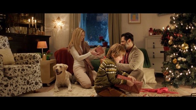 Video Reference: mammal, vertebrate, christmas, room, event, christmas decoration, interaction, holiday, tradition, decor