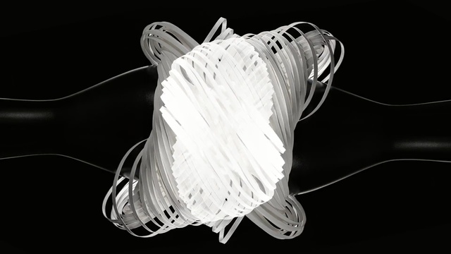 Video Reference: white, black, black and white, photography, monochrome photography, monochrome, still life photography, organism, invertebrate