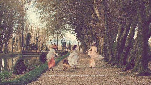 Video Reference: People in nature, Tree, Woody plant, Grass, Adaptation, Branch, Plant, Photography, Child, Woodland, Person, Outdoor, Man, Young, Standing, Sitting, Field, Forest, Park, Riding, People, Holding, Dirt, White, Woman, Group, Horse, Ground, Clothing, Dress, Wooded